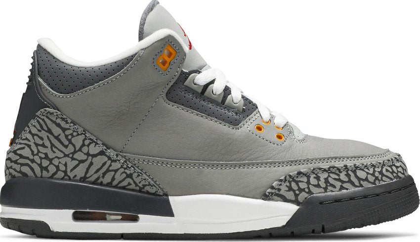 Promo Jordan 3 Retro Cool Grey (2021) (GS)