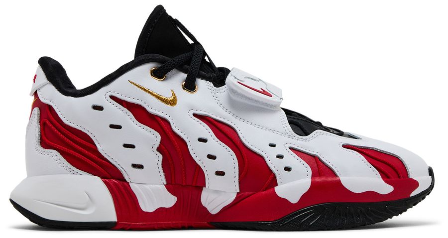 USED Nike LeBron 21 Prime 96