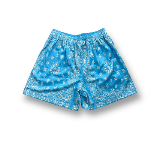 Promo Bravest Studios Paisley Shorts Light Blue